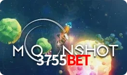 Moonshot